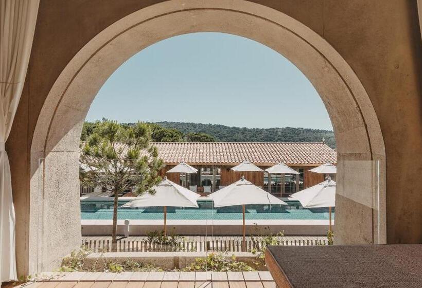 سوئیت کلاب, Lily Of The Valley