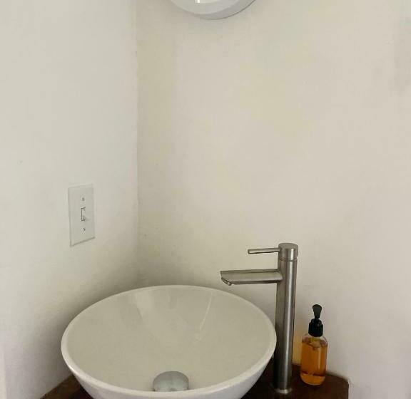 اتاق لوکس, Bird Island Bungalows