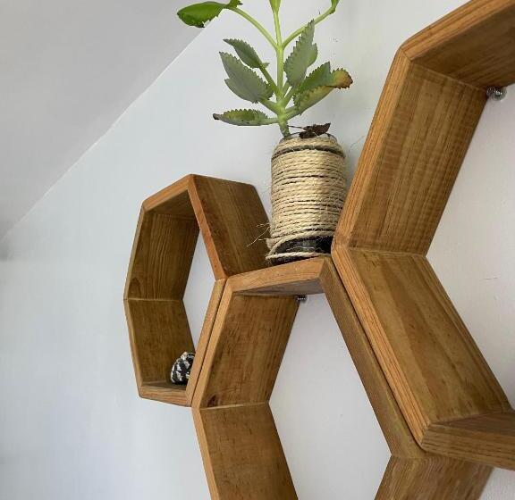 اتاق لوکس, Bird Island Bungalows