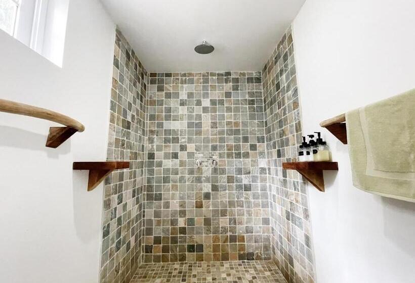 اتاق لوکس, Bird Island Bungalows