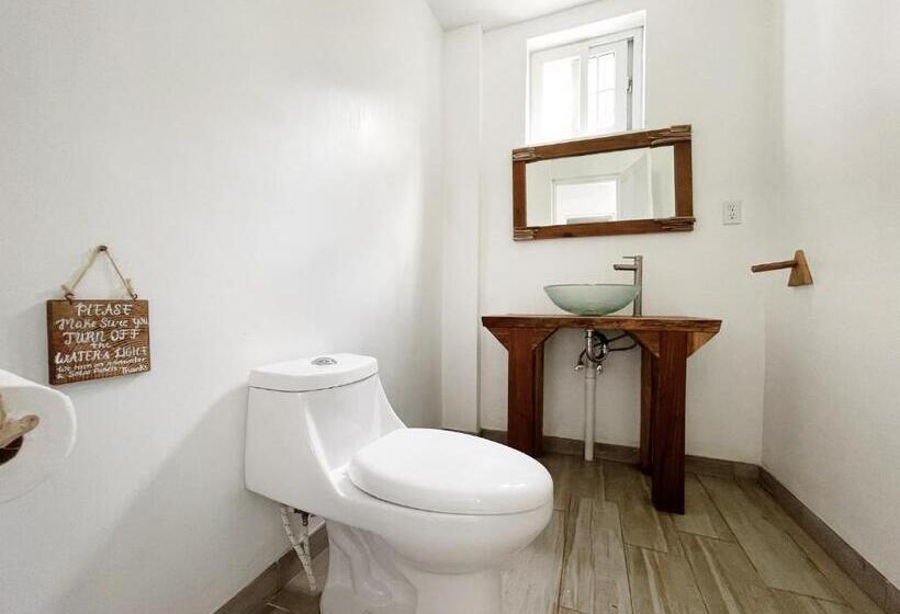 اتاق سوپریور, Bird Island Bungalows