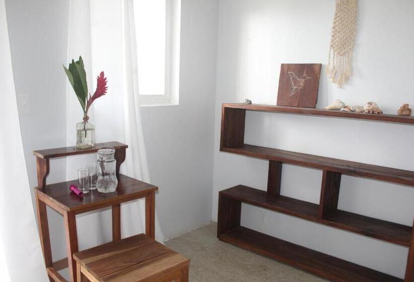 اتاق سوپریور, Bird Island Bungalows