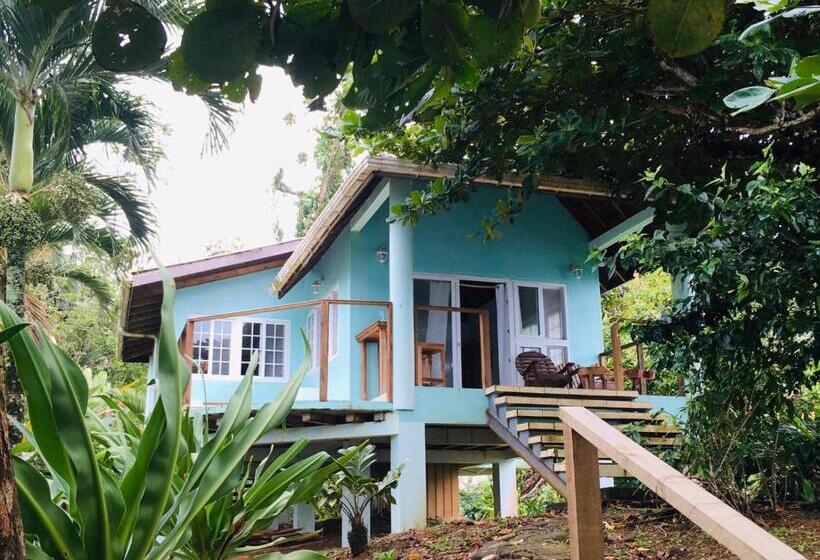 بانگلوی لوکس, Bird Island Bungalows