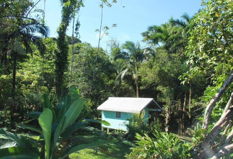بانگلوی استاندارد با چشمانداز دریا, Bird Island Bungalows
