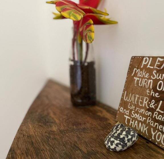 اتاق اکونومی, Bird Island Bungalows