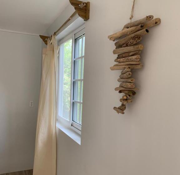 اتاق استاندارد, Bird Island Bungalows