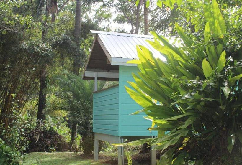 بانگلوی سوپریور, Bird Island Bungalows
