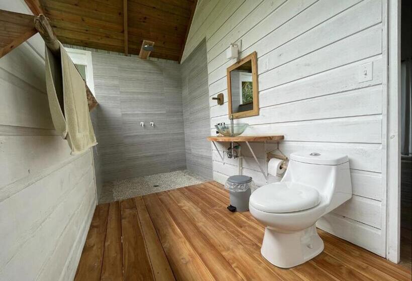 بانگلوی سوپریور, Bird Island Bungalows