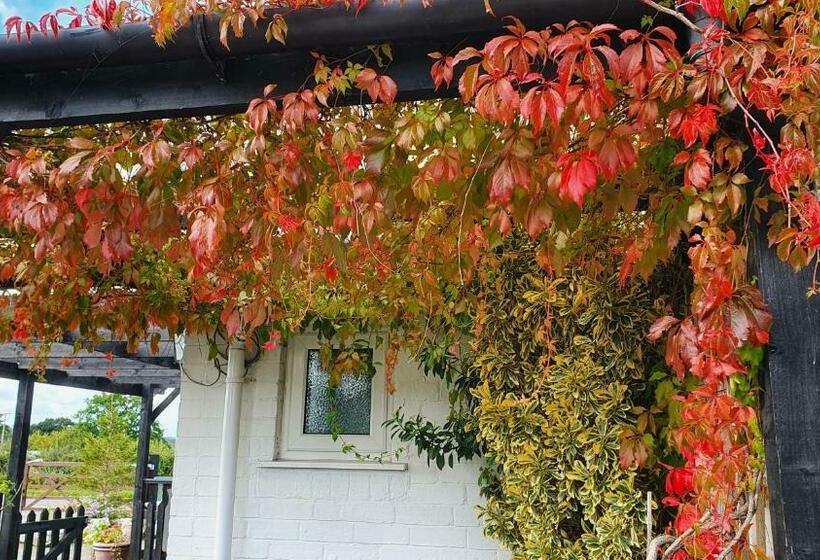 キングサイズベッドのスイートルーム, Tafarn Y Waen   Guesthouse