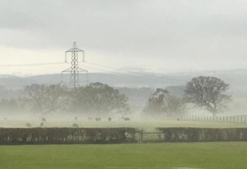 キングサイズベッドのデラックススイート, Tafarn Y Waen   Guesthouse