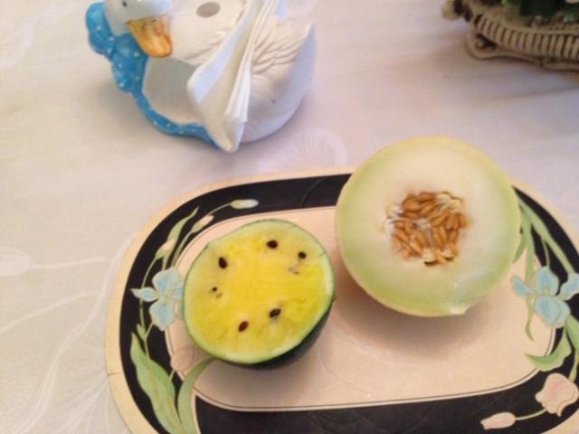 اتاق استاندارد با چشم‌انداز باغ, Goldenview Guesthouse Ocho Rios