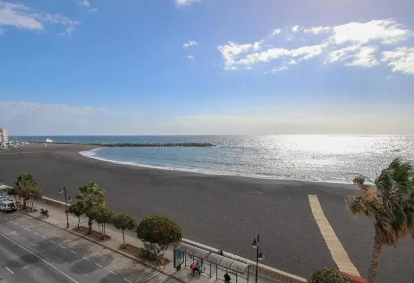 اتاق استاندارد, Emblemático Holiday Time