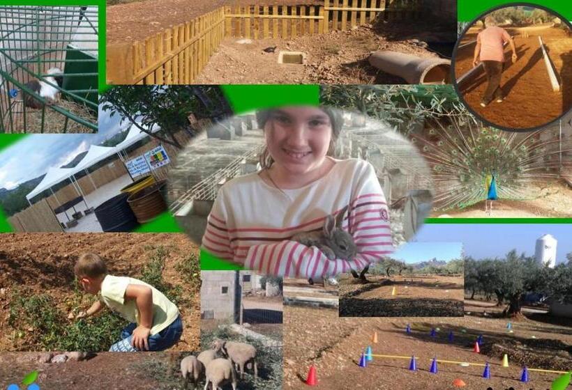חדר סטנדרט לארבעה, Hostal La Panavera