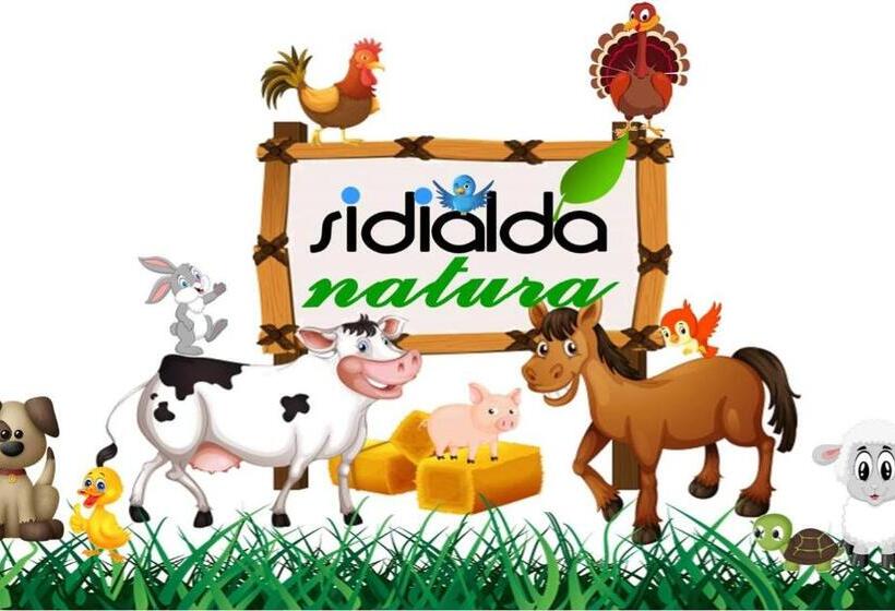 חדר סטנדרט לארבעה, Hostal La Panavera