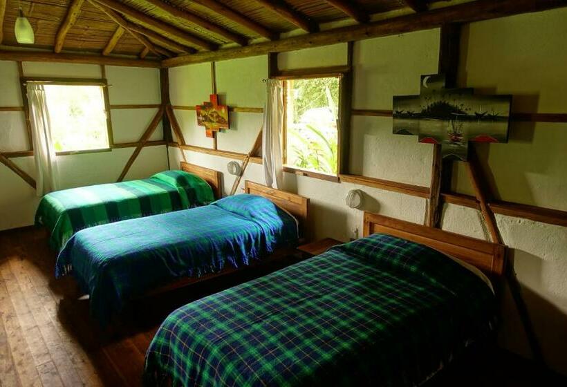 Семейный Номер, Cabañas Bambu Mindo