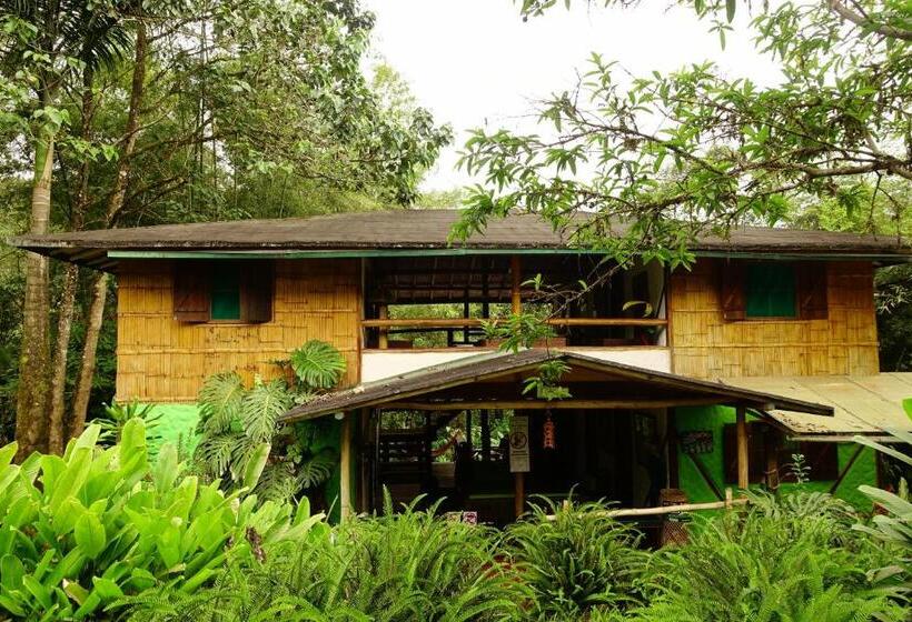 اتاق استاندارد, Cabañas Bambu Mindo