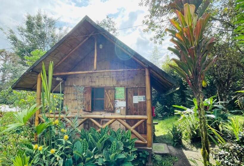 کابین, Cabañas Bambu Mindo