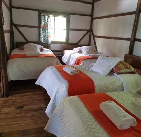 بنگله خانوادگی, Cabañas Bambu Mindo