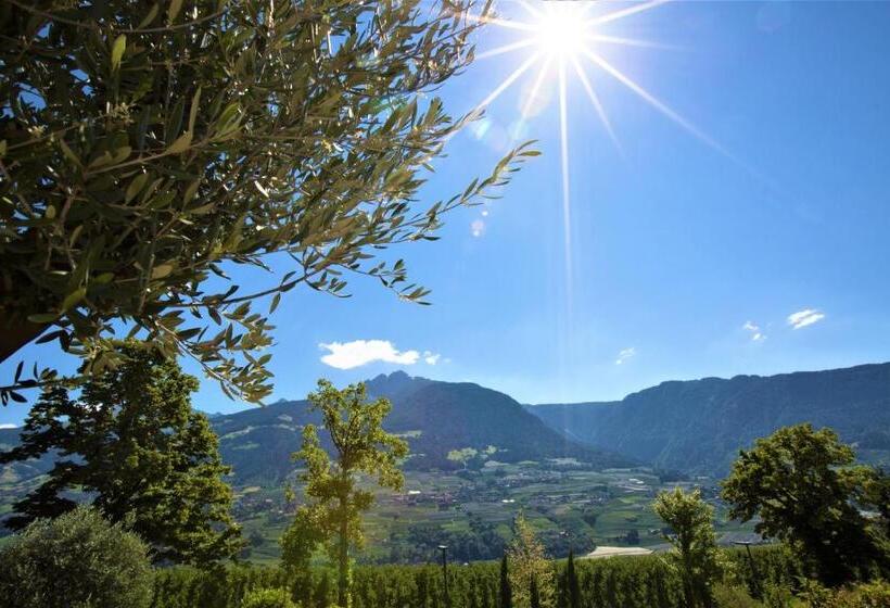 Апартаменты 1 Спальня, Villa Residence Franziskus