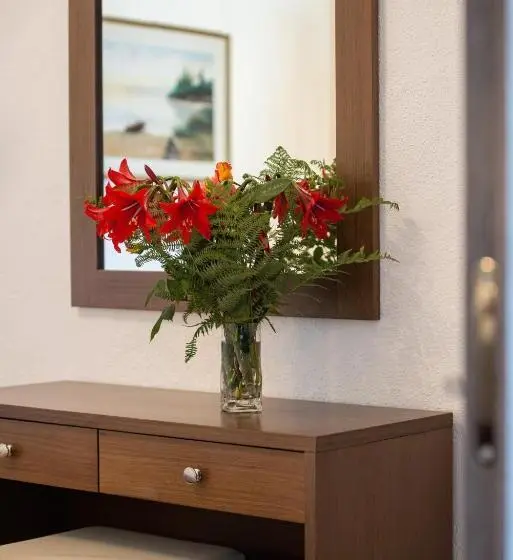 Chambre Economy, Stefani