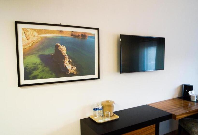 غرفة قياسية سرير كينج, Sawari