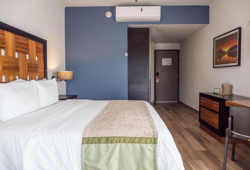 غرفة قياسية سرير كينج, Sawari