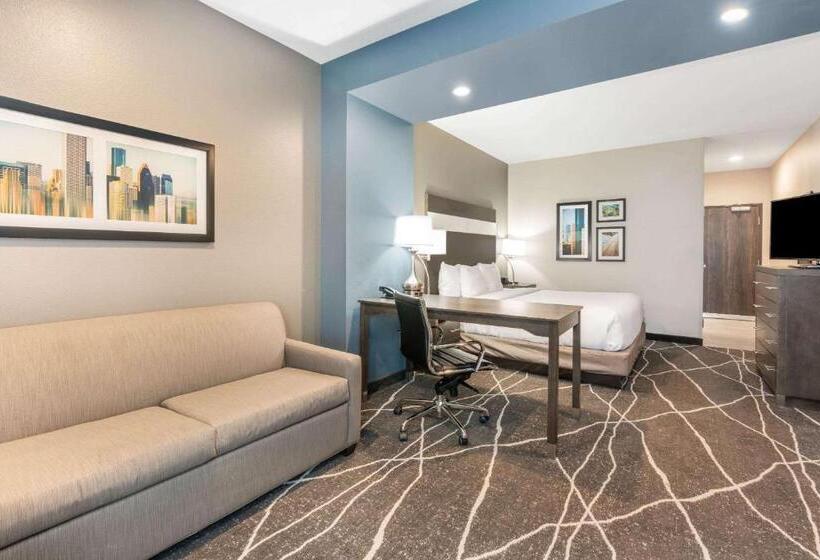 غرفة ديلوكس سرير كينج, La Quinta Inn And Suites By Wyndham Houston Spring South