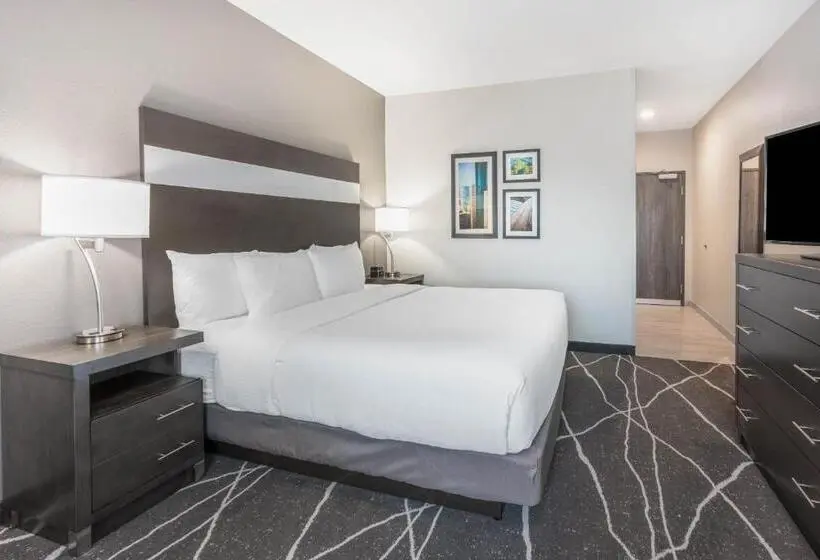 Deluxe-huone King-vuode, La Quinta Inn And Suites By Wyndham Houston Spring South