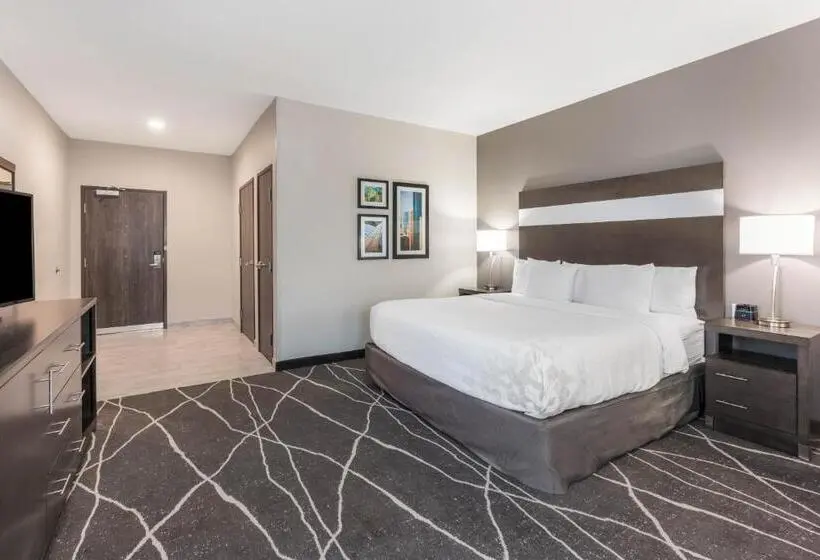 Standard-invahuone King-vuode, La Quinta Inn And Suites By Wyndham Houston Spring South