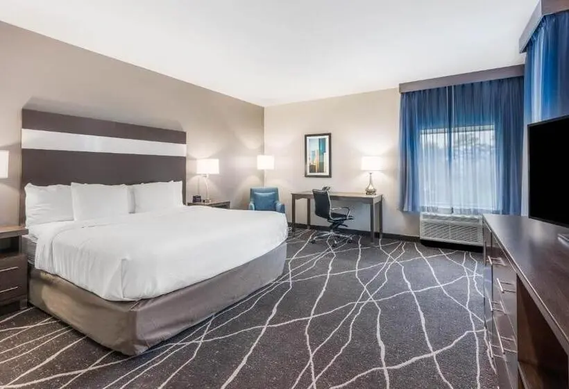 Standard-huone King-vuode, La Quinta Inn And Suites By Wyndham Houston Spring South
