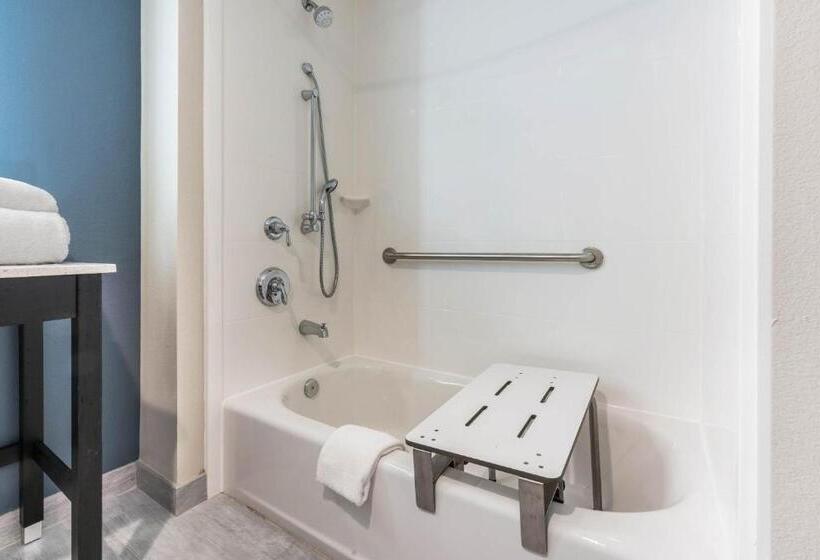 Номер Стандарт Адаптированный для Инвалидов, La Quinta Inn And Suites By Wyndham Houston Spring South