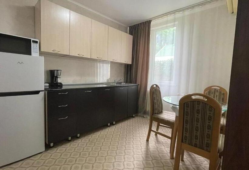 اتاق سوپریور خانوادگی, Park Hotel Uralsk