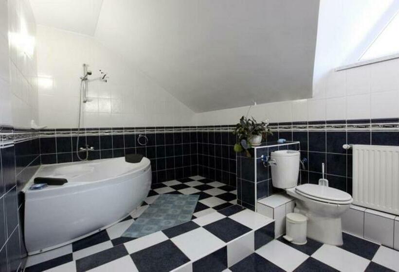 חדר סטנדרט, Pensiunea Aurora Izvorul Muntelui