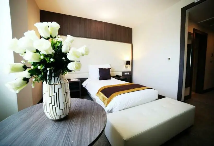اتاق استاندارد یک نفره, Mirador Palace Hôtel