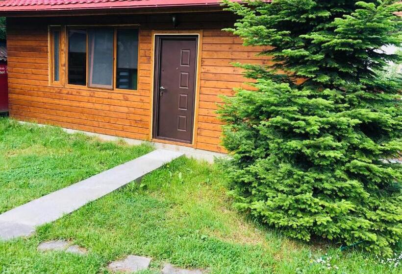 패밀리 방갈로, Pensiunea Ioana