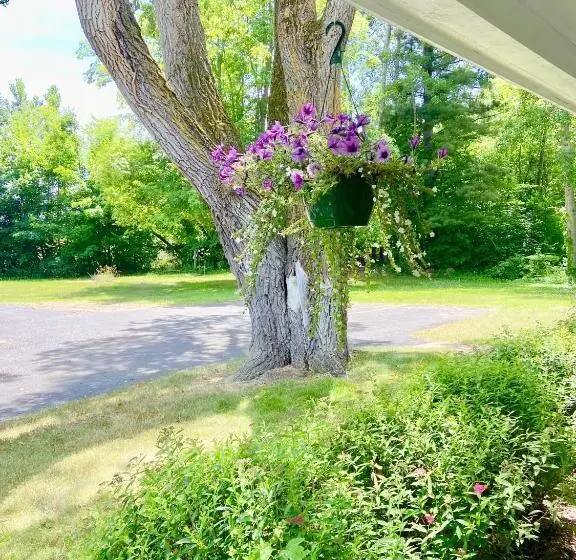 キングサイズベッドのデラックスルーム, Elk Rapids Lakeshore Inn