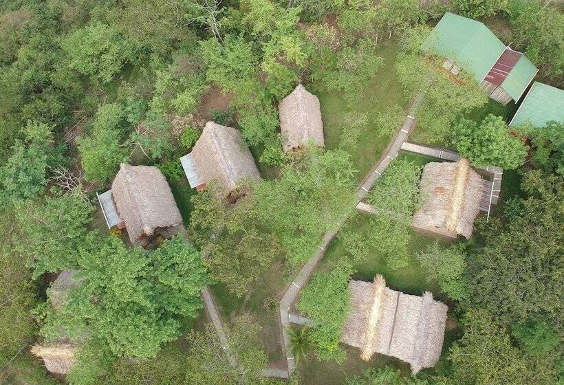 اتاق استاندارد سه نفره, Oasis The Traveler