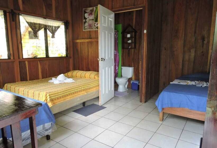 اتاق استاندارد چهار تخته, Oasis The Traveler