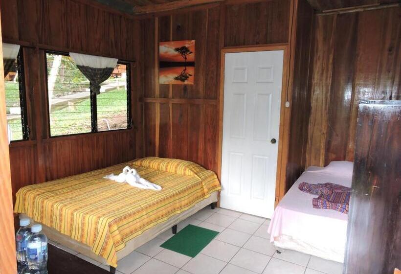 اتاق استاندارد سه نفره, Oasis The Traveler