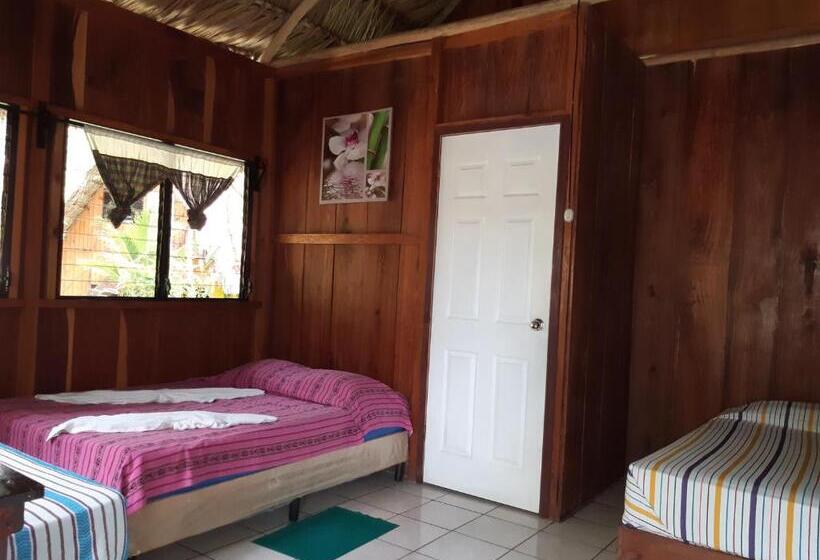 اتاق استاندارد سه نفره, Oasis The Traveler