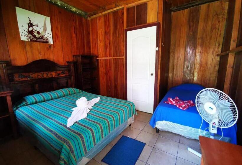 اتاق استاندارد سه نفره, Oasis The Traveler