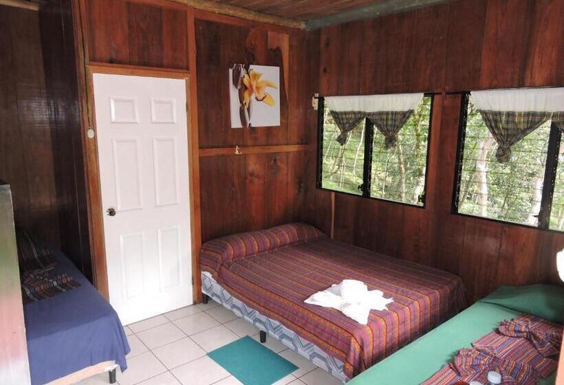 اتاق استاندارد چهار تخته, Oasis The Traveler