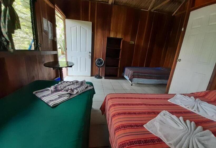 اتاق استاندارد چهار تخته, Oasis The Traveler