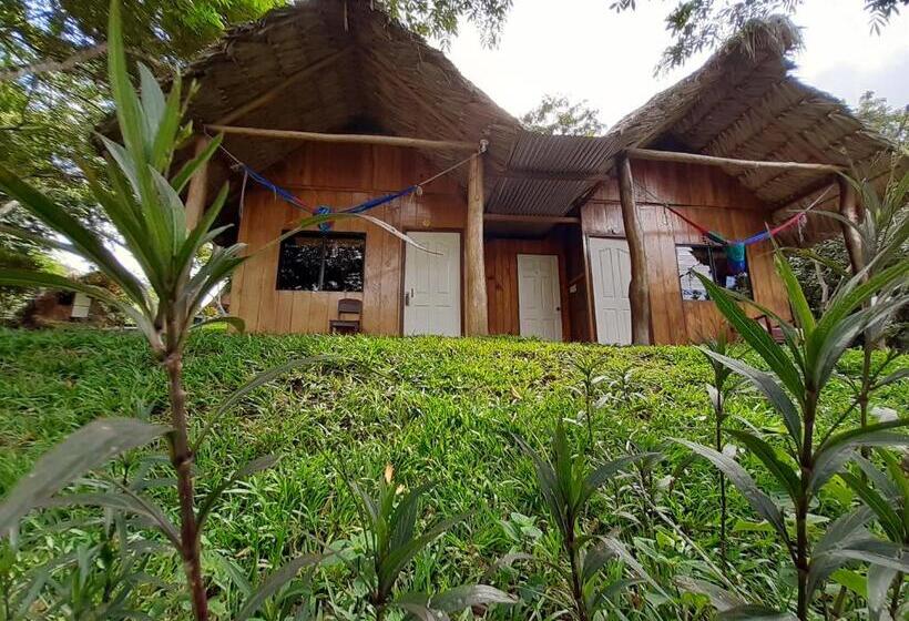 اتاق استاندارد چهار تخته, Oasis The Traveler