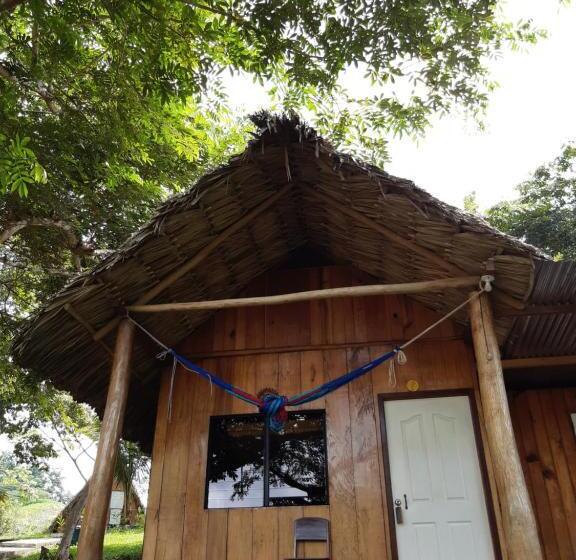 اتاق استاندارد چهار تخته, Oasis The Traveler