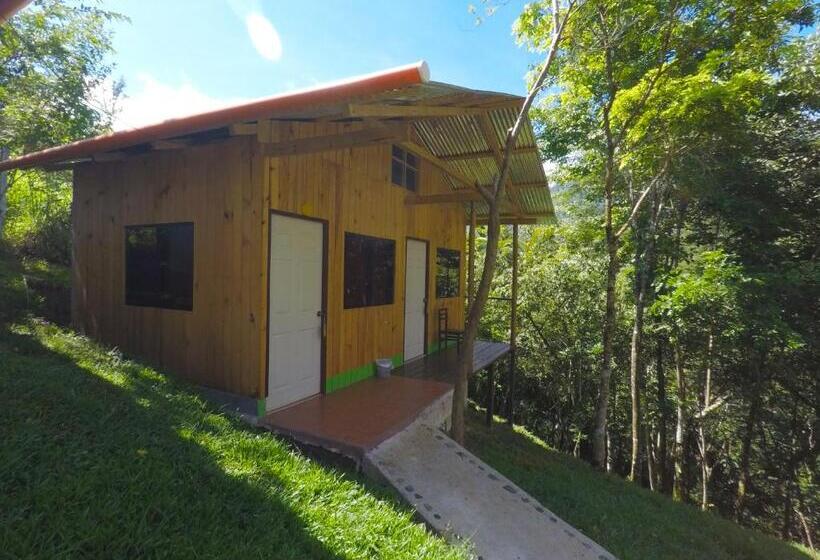 اتاق استاندارد با سرویس بهداشتی مشترک, Oasis The Traveler