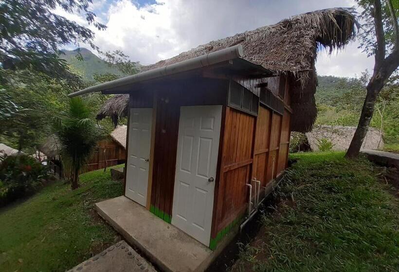 اتاق استاندارد با سرویس بهداشتی مشترک, Oasis The Traveler