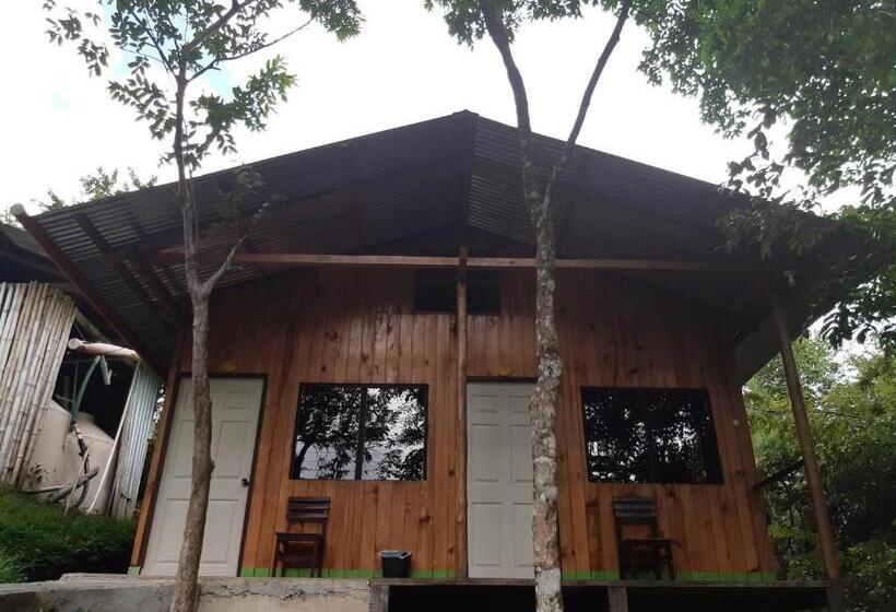 اتاق استاندارد با سرویس بهداشتی مشترک, Oasis The Traveler