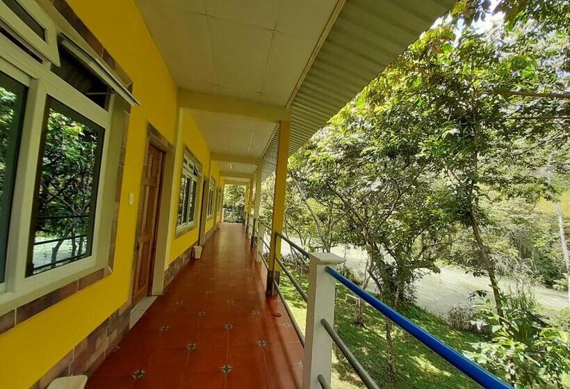 اتاق لوکس, Oasis The Traveler