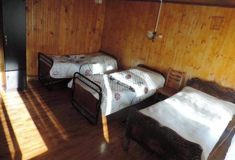 اتاق استاندارد سه تخته با سرویس بهداشتی مشترک, Guesthouse Angelina